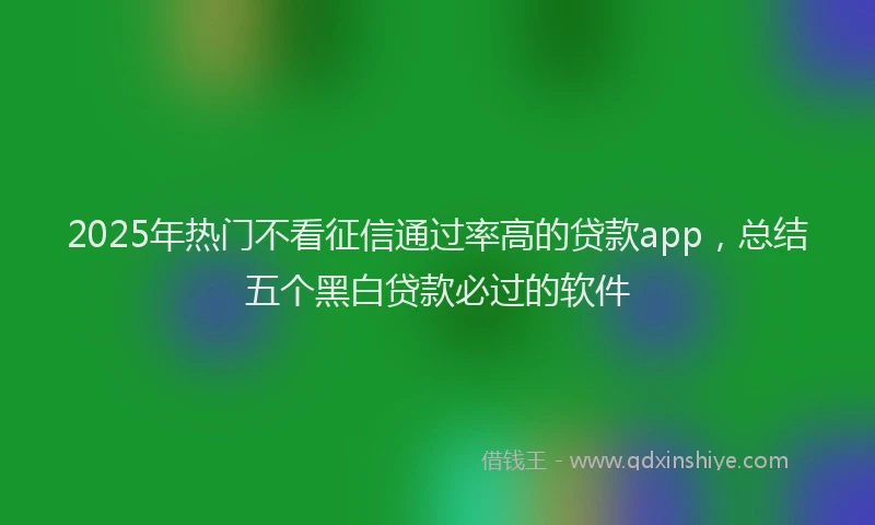 2025年热门不看征信通过率高的贷款app，总结五个黑白贷款必过的软件