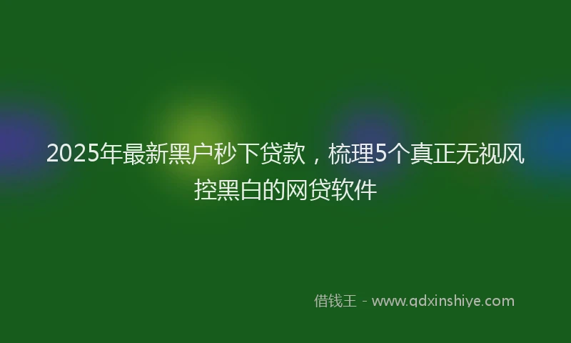 2025年最新黑户秒下贷款，梳理5个真正无视风控黑白的网贷软件