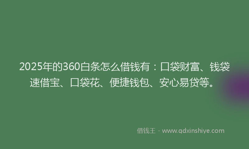 2025年的360白条怎么借钱有：口袋财富、钱袋速借宝、口袋花、便捷钱包、安心易贷等。