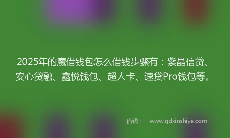 2025年的魔借钱包怎么借钱步骤有：紫晶信贷、安心贷融、鑫悦钱包、超人卡、速贷Pro钱包等。