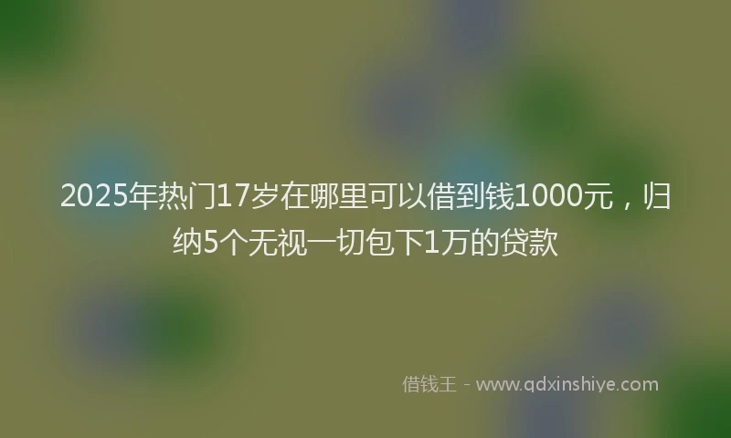 2025年热门17岁在哪里可以借到钱1000元，归纳5个无视一切包下1万的贷款
