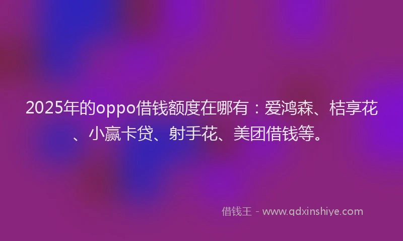 2025年的oppo借钱额度在哪有：爱鸿森、桔享花、小赢卡贷、射手花、美团借钱等。