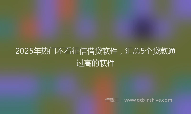 2025年热门不看征信借贷软件，汇总5个贷款通过高的软件