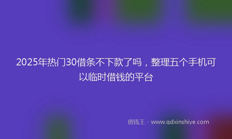 2025年热门30借条不下款了吗，整理五个手机可以临时借钱的平台