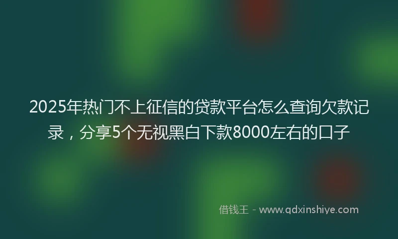 2025年热门不上征信的贷款平台怎么查询欠款记录，分享5个无视黑白下款8000左右的口子