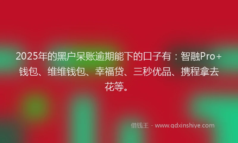 2025年的黑户呆账逾期能下的口子有：智融Pro+钱包、维维钱包、幸福贷、三秒优品、携程拿去花等。