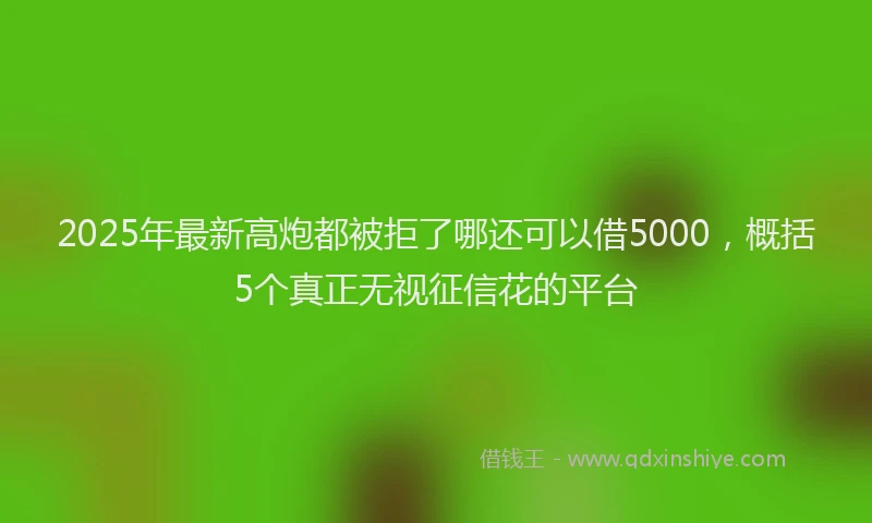 2025年最新高炮都被拒了哪还可以借5000，概括5个真正无视征信花的平台