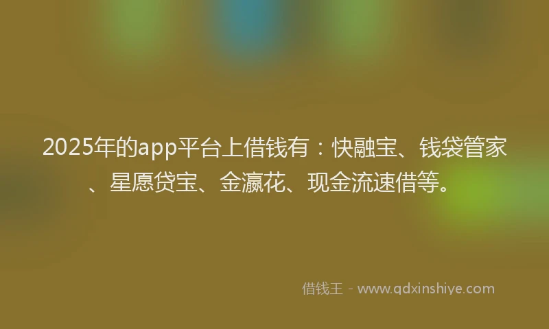 2025年的app平台上借钱有：快融宝、钱袋管家、星愿贷宝、金瀛花、现金流速借等。