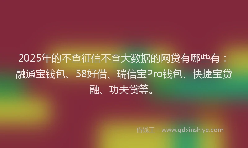 2025年的不查征信不查大数据的网贷有哪些有：融通宝钱包、58好借、瑞信宝Pro钱包、快捷宝贷融、功夫贷等。