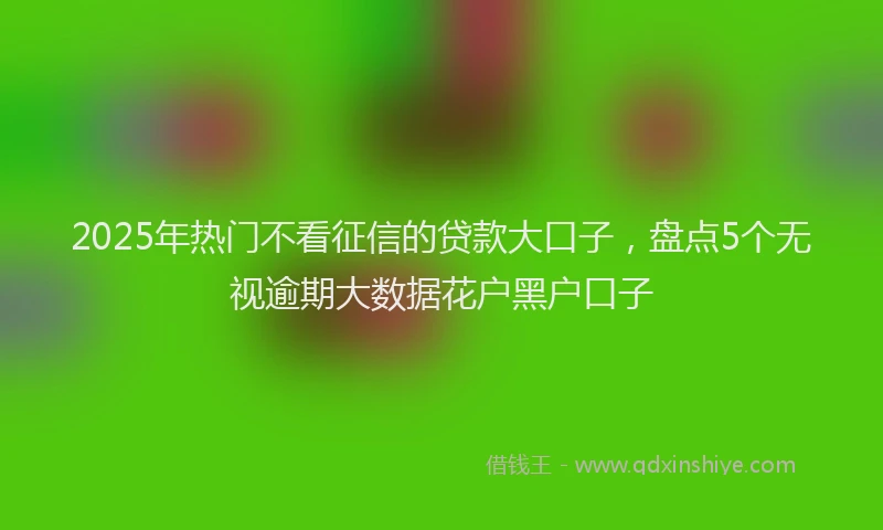 2025年热门不看征信的贷款大口子，盘点5个无视逾期大数据花户黑户口子