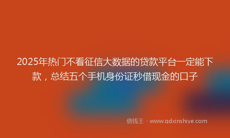 2025年热门不看征信大数据的贷款平台一定能下款，总结五个手机身份证秒借现金的口子