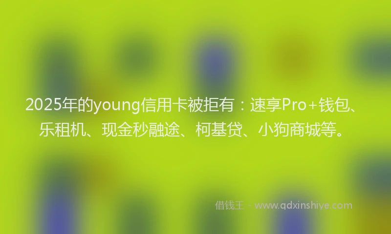 2025年的young信用卡被拒有：速享Pro+钱包、乐租机、现金秒融途、柯基贷、小狗商城等。