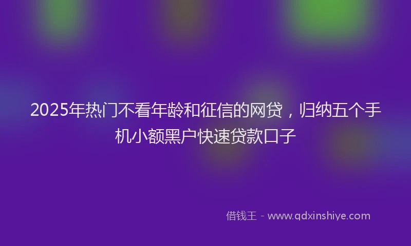 2025年热门不看年龄和征信的网贷，归纳五个手机小额黑户快速贷款口子