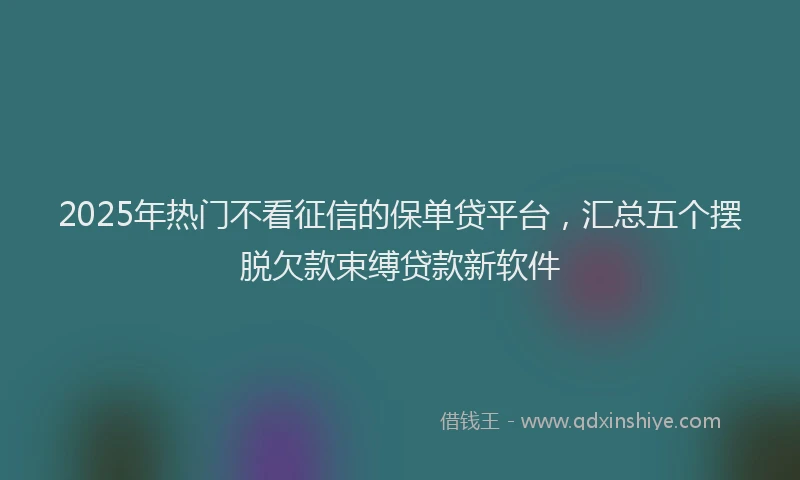 2025年热门不看征信的保单贷平台，汇总五个摆脱欠款束缚贷款新软件