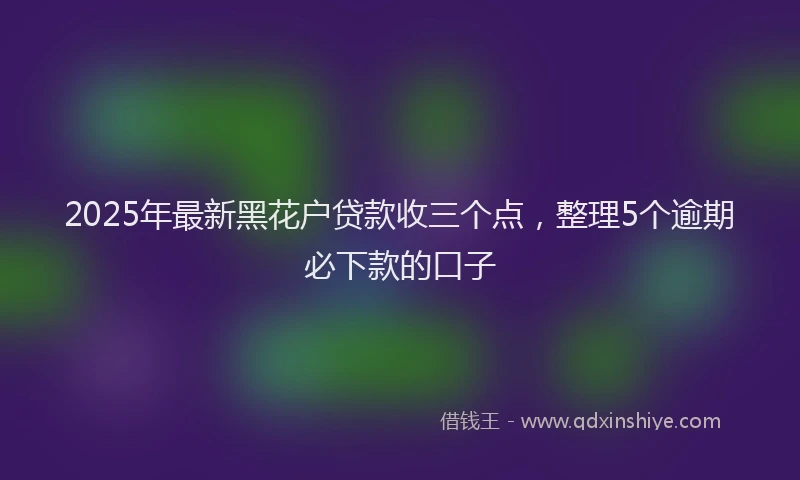 2025年最新黑花户贷款收三个点，整理5个逾期必下款的口子