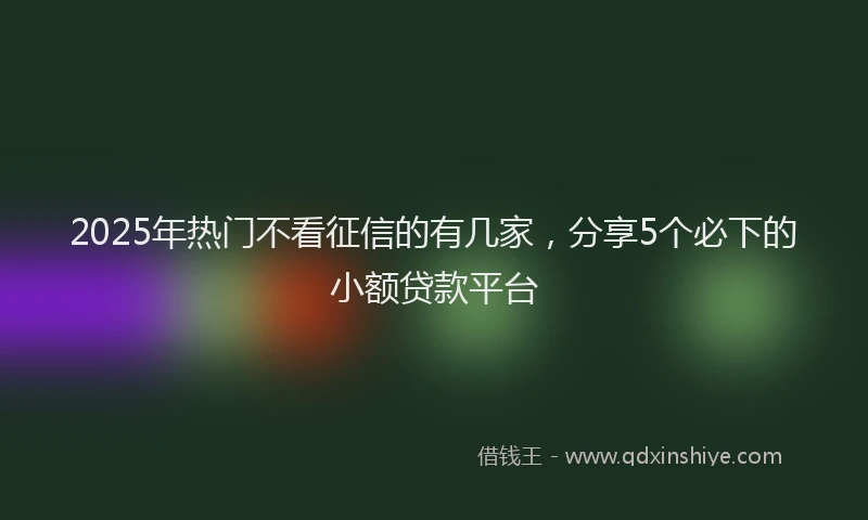 2025年热门不看征信的有几家，分享5个必下的小额贷款平台