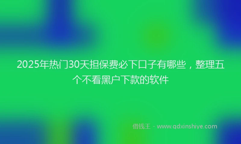 2025年热门30天担保费必下口子有哪些，整理五个不看黑户下款的软件