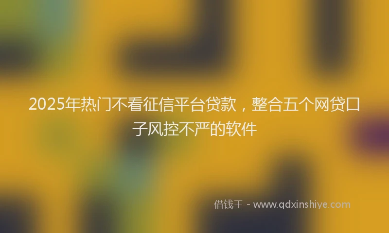 2025年热门不看征信平台贷款，整合五个网贷口子风控不严的软件