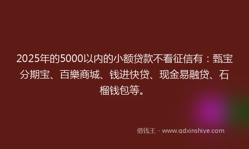 2025年的5000以内的小额贷款不看征信有：甄宝分期宝、百樂商城、钱进快贷、现金易融贷、石榴钱包等。
