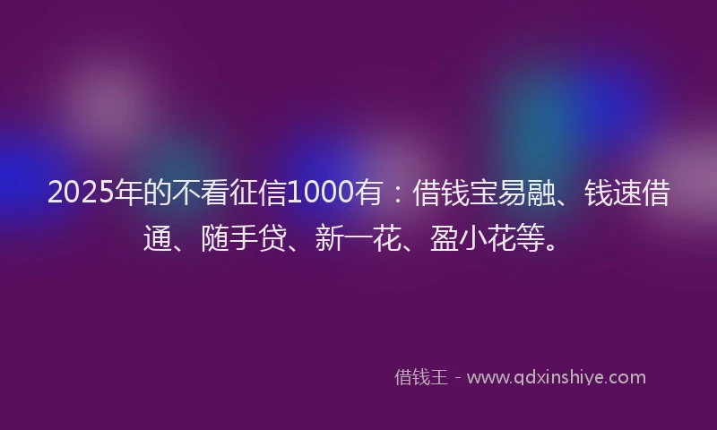 2025年的不看征信1000有：借钱宝易融、钱速借通、随手贷、新一花、盈小花等。