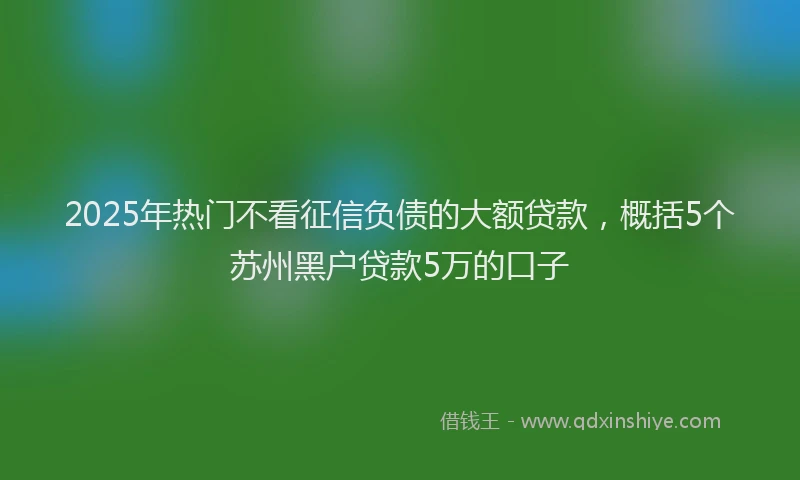 2025年热门不看征信负债的大额贷款，概括5个苏州黑户贷款5万的口子