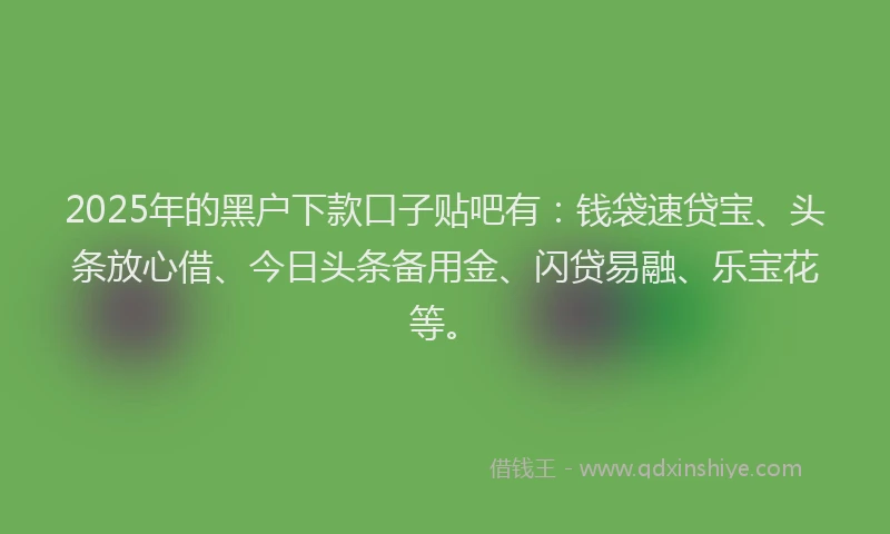 2025年的黑户下款口子贴吧有：钱袋速贷宝、头条放心借、今日头条备用金、闪贷易融、乐宝花等。