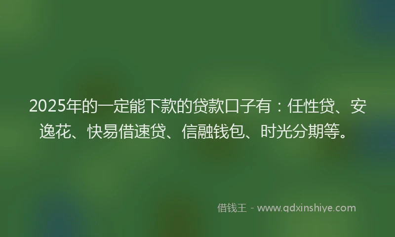 2025年的一定能下款的贷款口子有：任性贷、安逸花、快易借速贷、信融钱包、时光分期等。