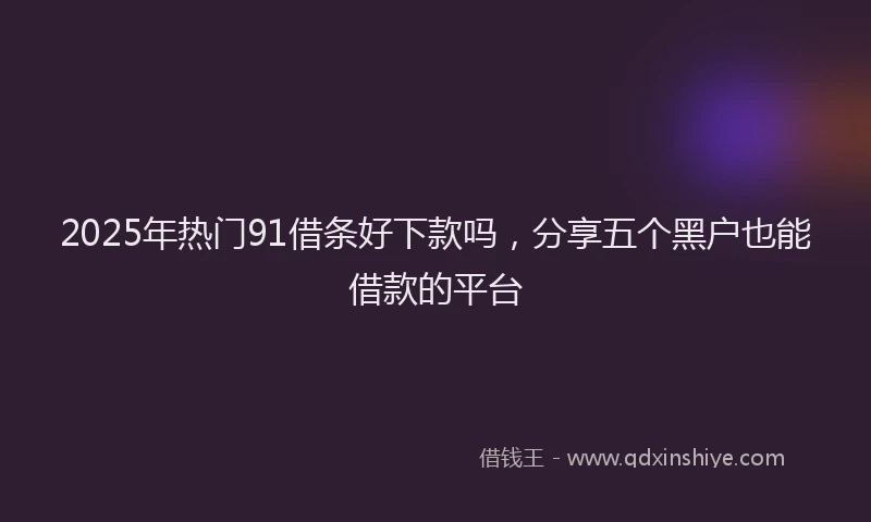 2025年热门91借条好下款吗，分享五个黑户也能借款的平台