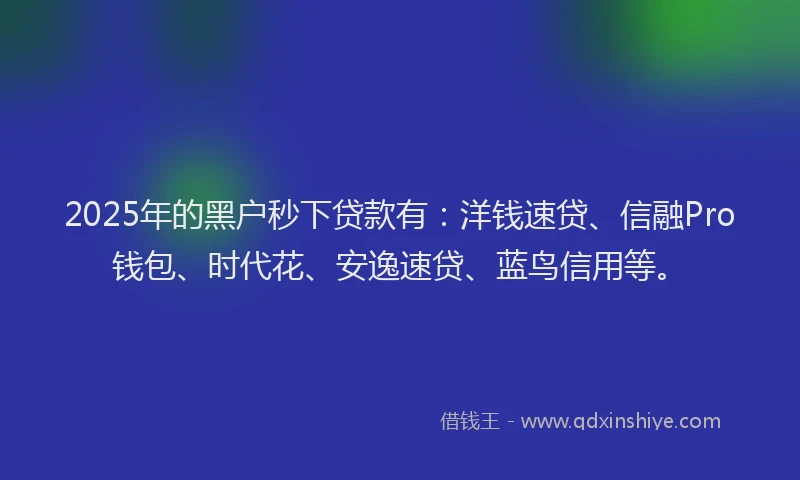 2025年的黑户秒下贷款有：洋钱速贷、信融Pro钱包、时代花、安逸速贷、蓝鸟信用等。