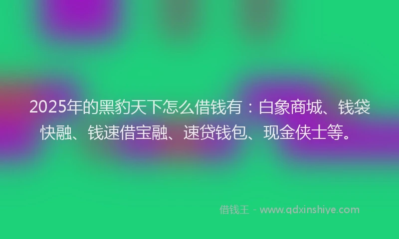2025年的黑豹天下怎么借钱有：白象商城、钱袋快融、钱速借宝融、速贷钱包、现金侠士等。