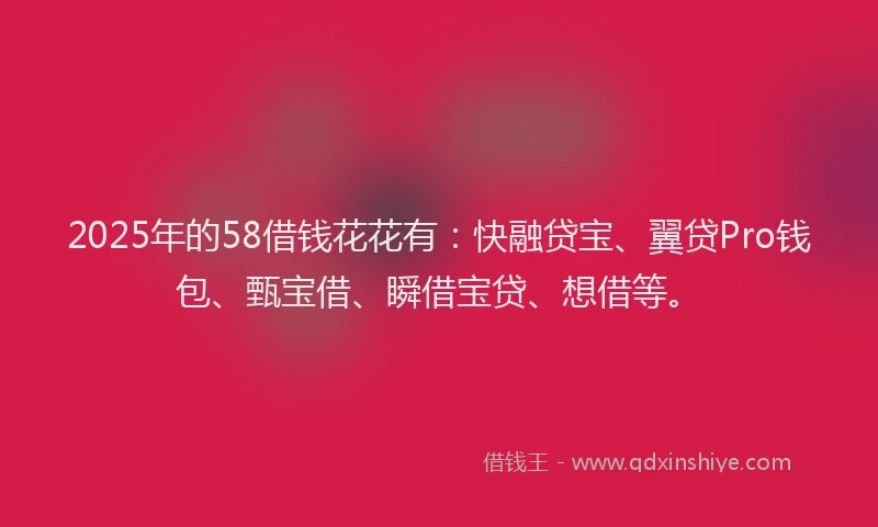 2025年的58借钱花花有：快融贷宝、翼贷Pro钱包、甄宝借、瞬借宝贷、想借等。