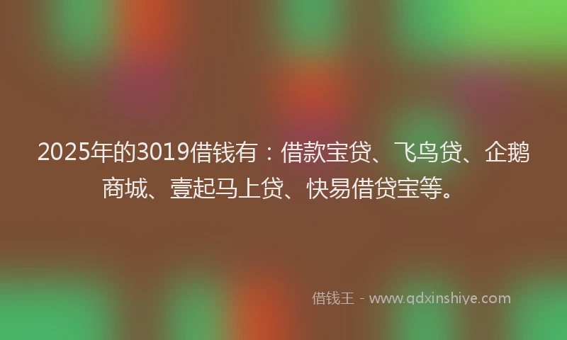 2025年的3019借钱有：借款宝贷、飞鸟贷、企鹅商城、壹起马上贷、快易借贷宝等。