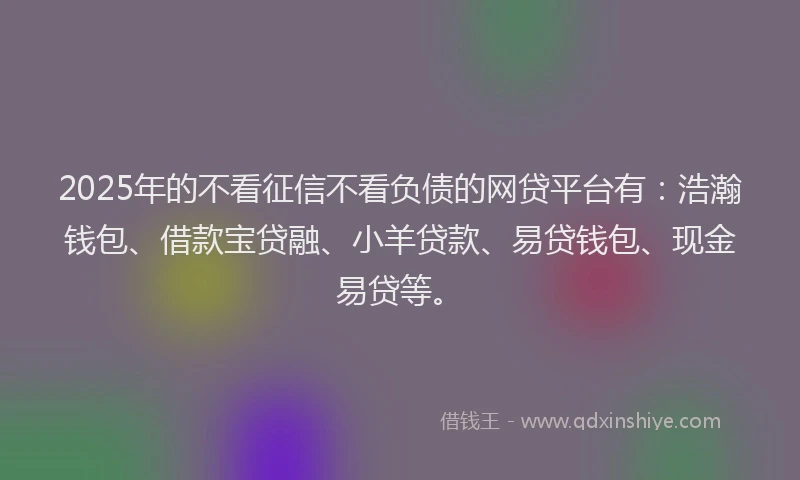 2025年的不看征信不看负债的网贷平台有：浩瀚钱包、借款宝贷融、小羊贷款、易贷钱包、现金易贷等。