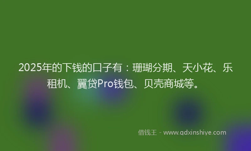 2025年的下钱的口子有：珊瑚分期、天小花、乐租机、翼贷Pro钱包、贝壳商城等。