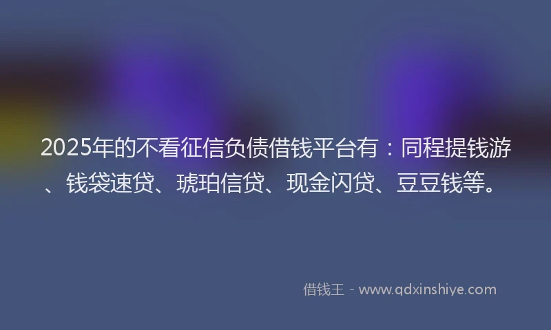 2025年的不看征信负债借钱平台有：同程提钱游、钱袋速贷、琥珀信贷、现金闪贷、豆豆钱等。