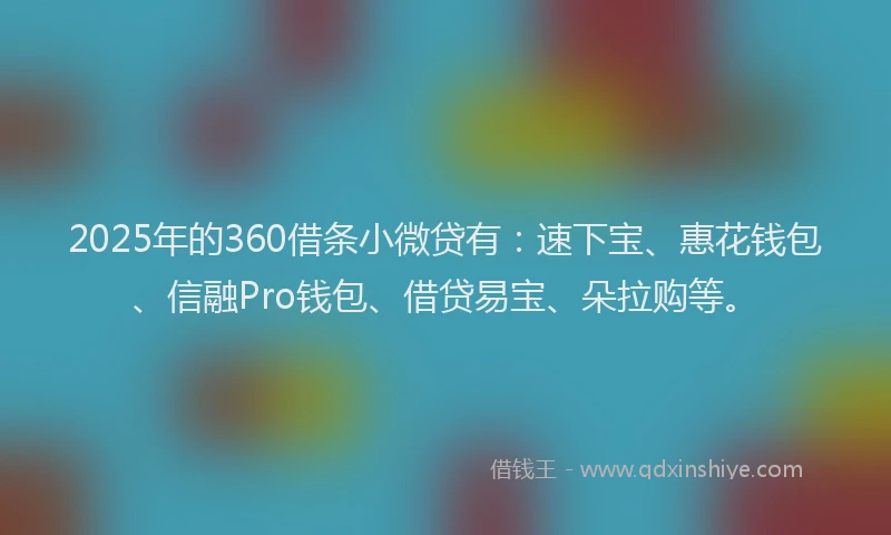 2025年的360借条小微贷有：速下宝、惠花钱包、信融Pro钱包、借贷易宝、朵拉购等。
