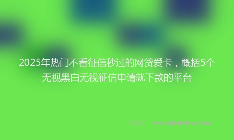 2025年热门不看征信秒过的网贷爱卡，概括5个无视黑白无视征信申请就下款的平台
