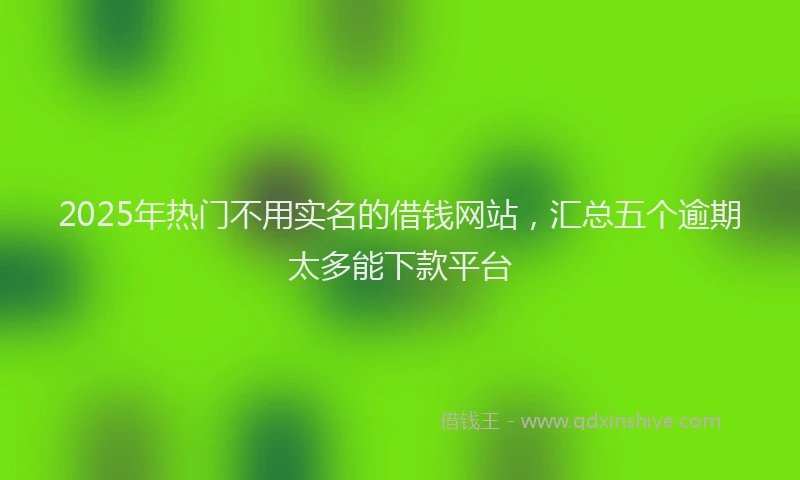 2025年热门不用实名的借钱网站，汇总五个逾期太多能下款平台
