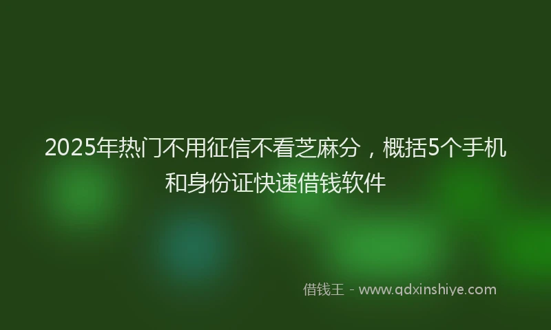 2025年热门不用征信不看芝麻分，概括5个手机和身份证快速借钱软件
