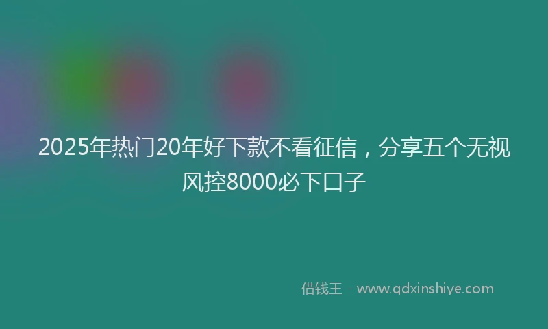 2025年热门20年好下款不看征信，分享五个无视风控8000必下口子