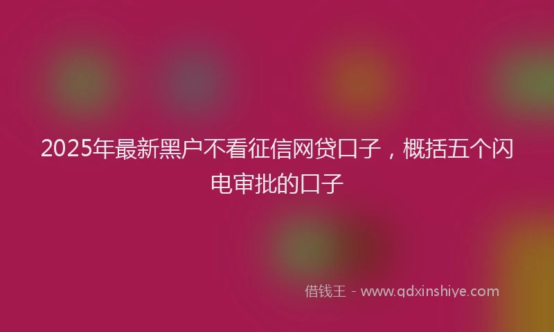 2025年最新黑户不看征信网贷口子，概括五个闪电审批的口子