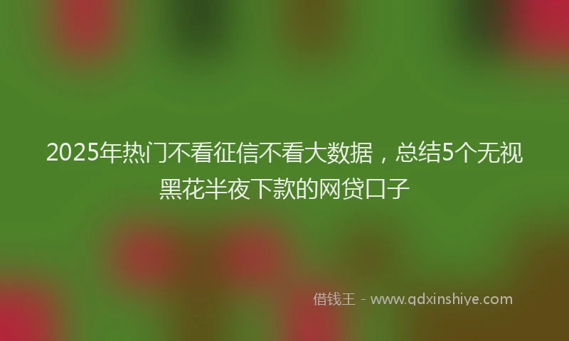 2025年热门不看征信不看大数据，总结5个无视黑花半夜下款的网贷口子