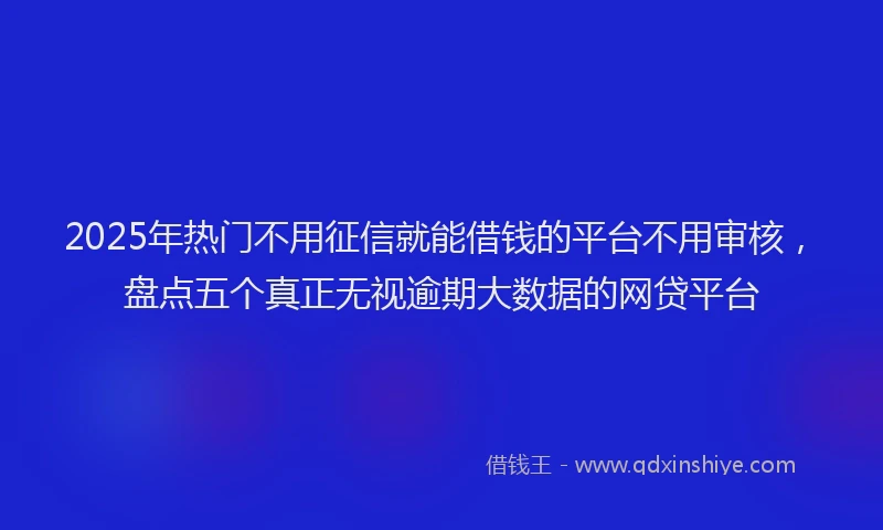 2025年热门不用征信就能借钱的平台不用审核，盘点五个真正无视逾期大数据的网贷平台