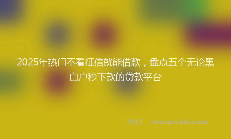 2025年热门不看征信就能借款，盘点五个无论黑白户秒下款的贷款平台