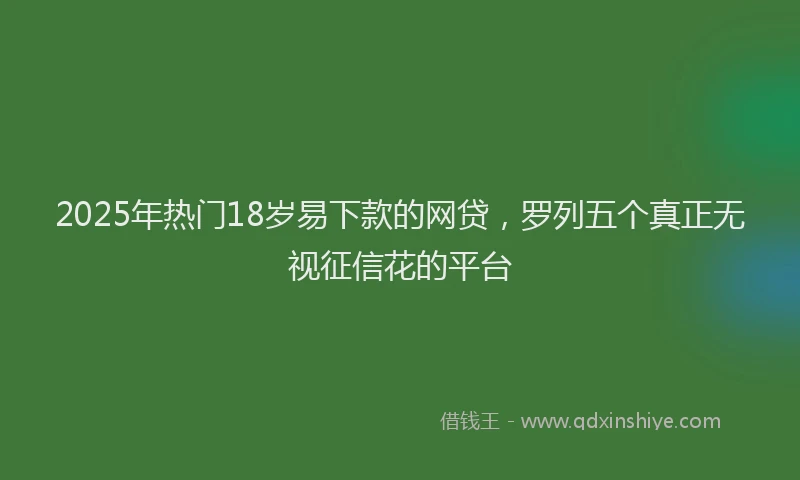 2025年热门18岁易下款的网贷，罗列五个真正无视征信花的平台