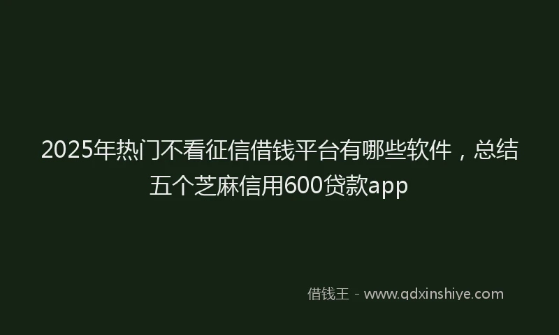 2025年热门不看征信借钱平台有哪些软件，总结五个芝麻信用600贷款app