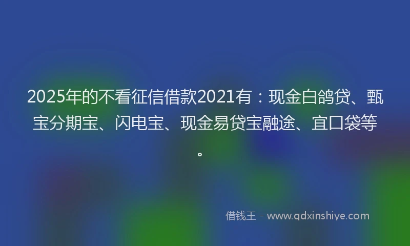 2025年的不看征信借款2021有：现金白鸽贷、甄宝分期宝、闪电宝、现金易贷宝融途、宜口袋等。