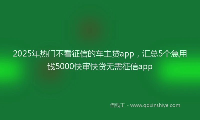 2025年热门不看征信的车主贷app，汇总5个急用钱5000快审快贷无需征信app