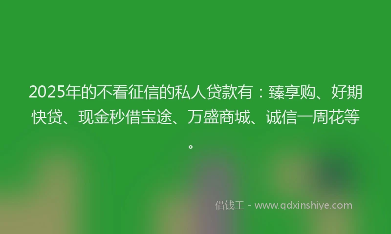 2025年的不看征信的私人贷款有：臻享购、好期快贷、现金秒借宝途、万盛商城、诚信一周花等。