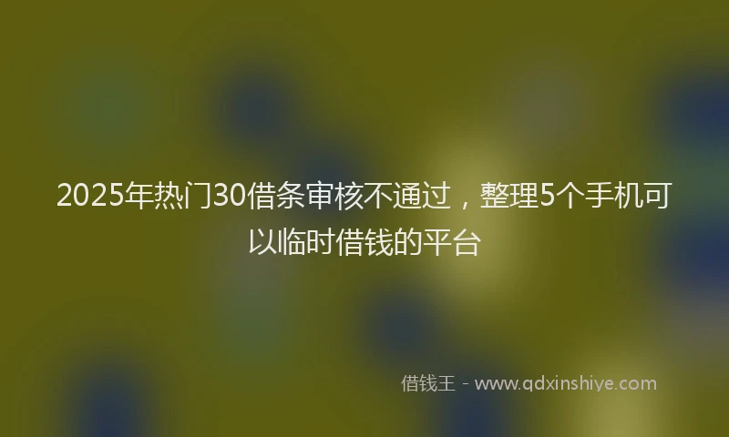 2025年热门30借条审核不通过，整理5个手机可以临时借钱的平台
